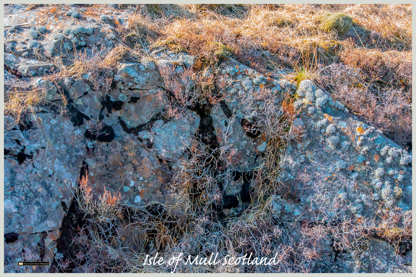 Isle of Mull Scotland DSC_2951.jpg