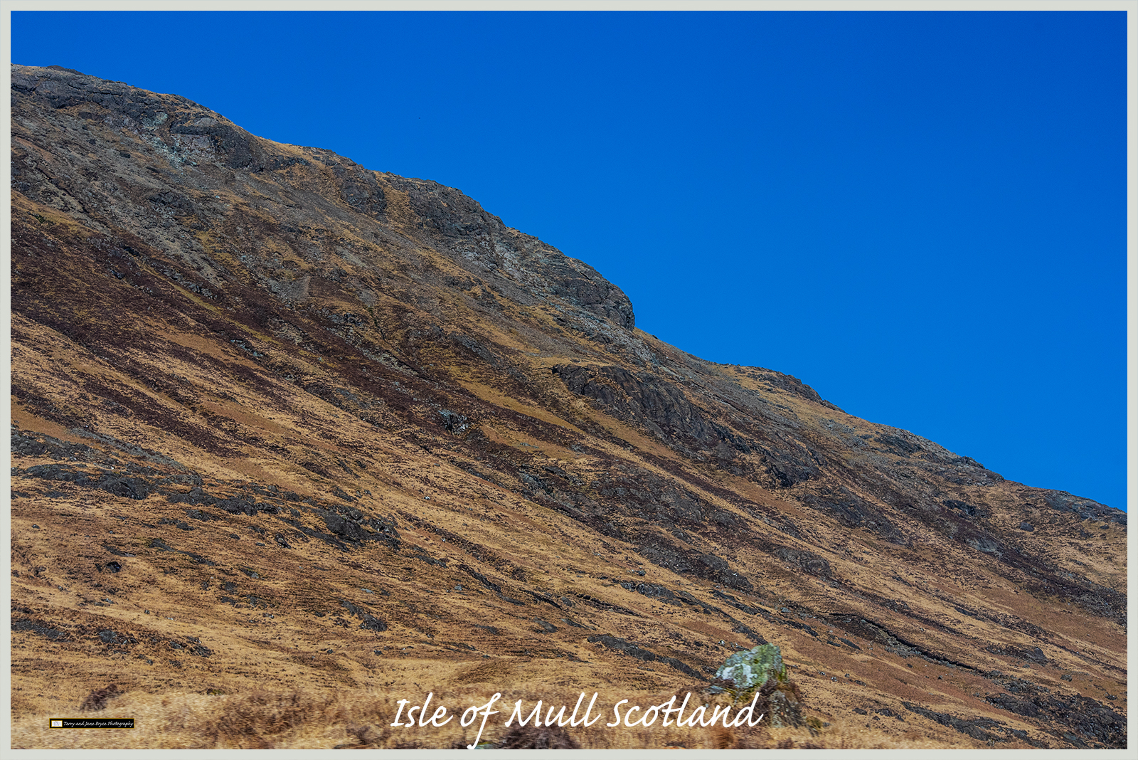 Isle of Mull Scotland DSC_2958.jpg