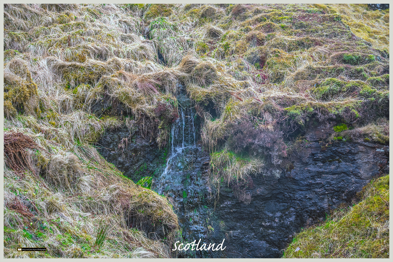 Scotland DSC_3123.jpg