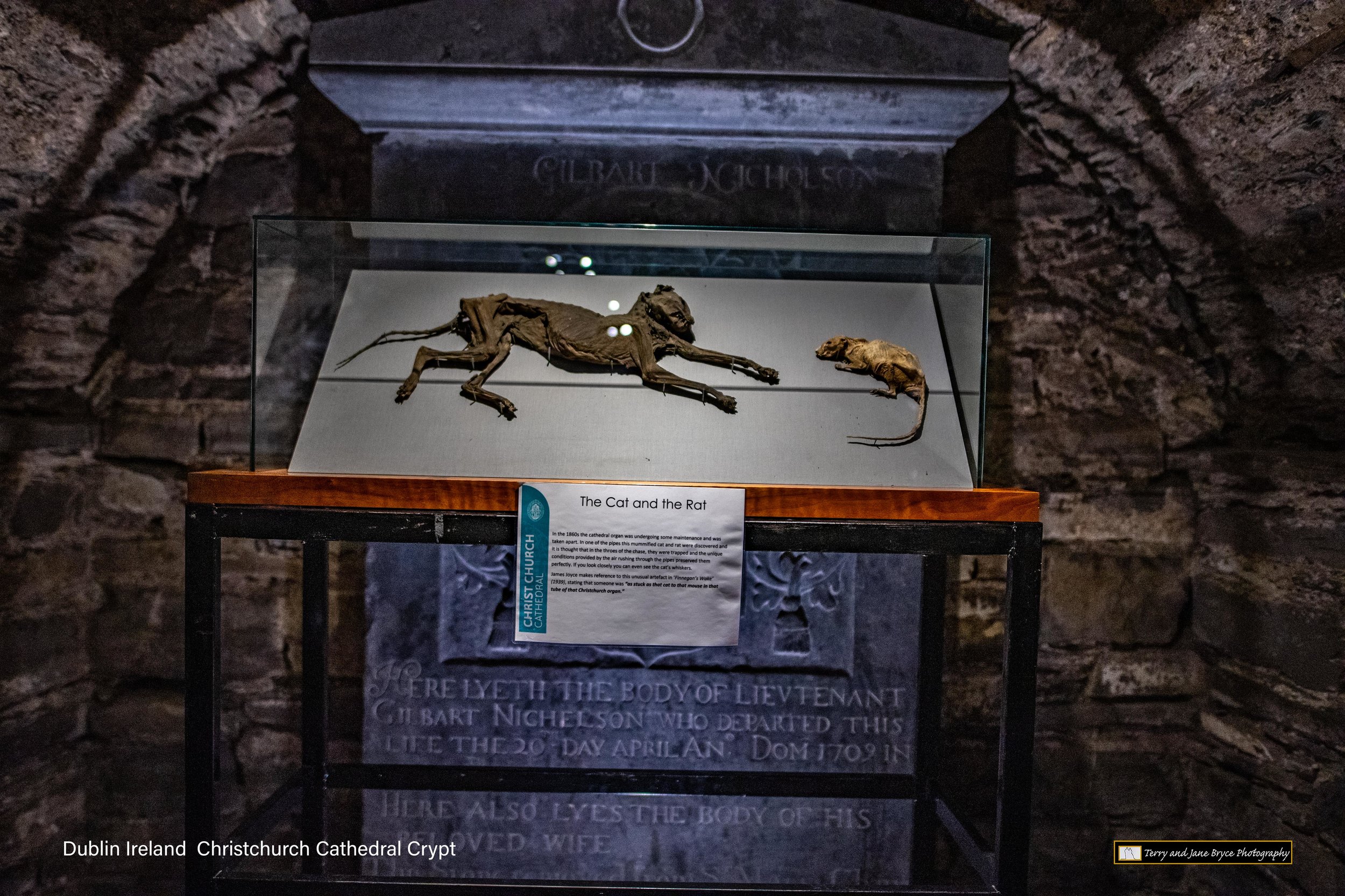 Ireland 2 -8489-Edit.jpg