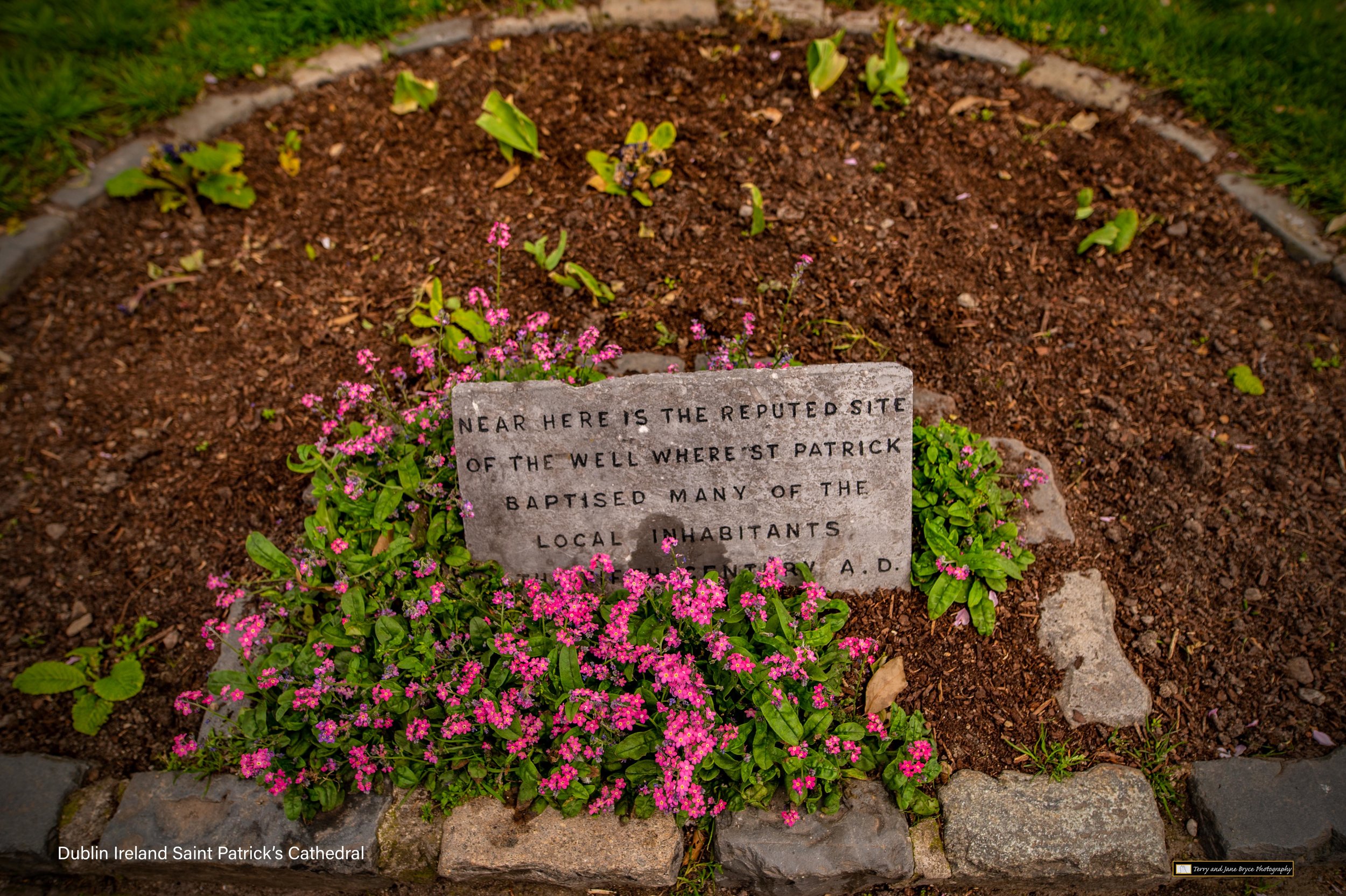 Ireland 2 -8292-Edit.jpg