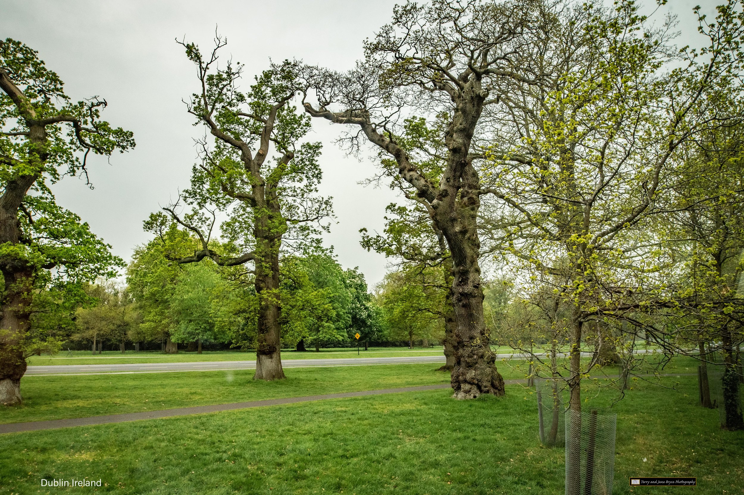 Ireland 2 -8313-Edit.jpg