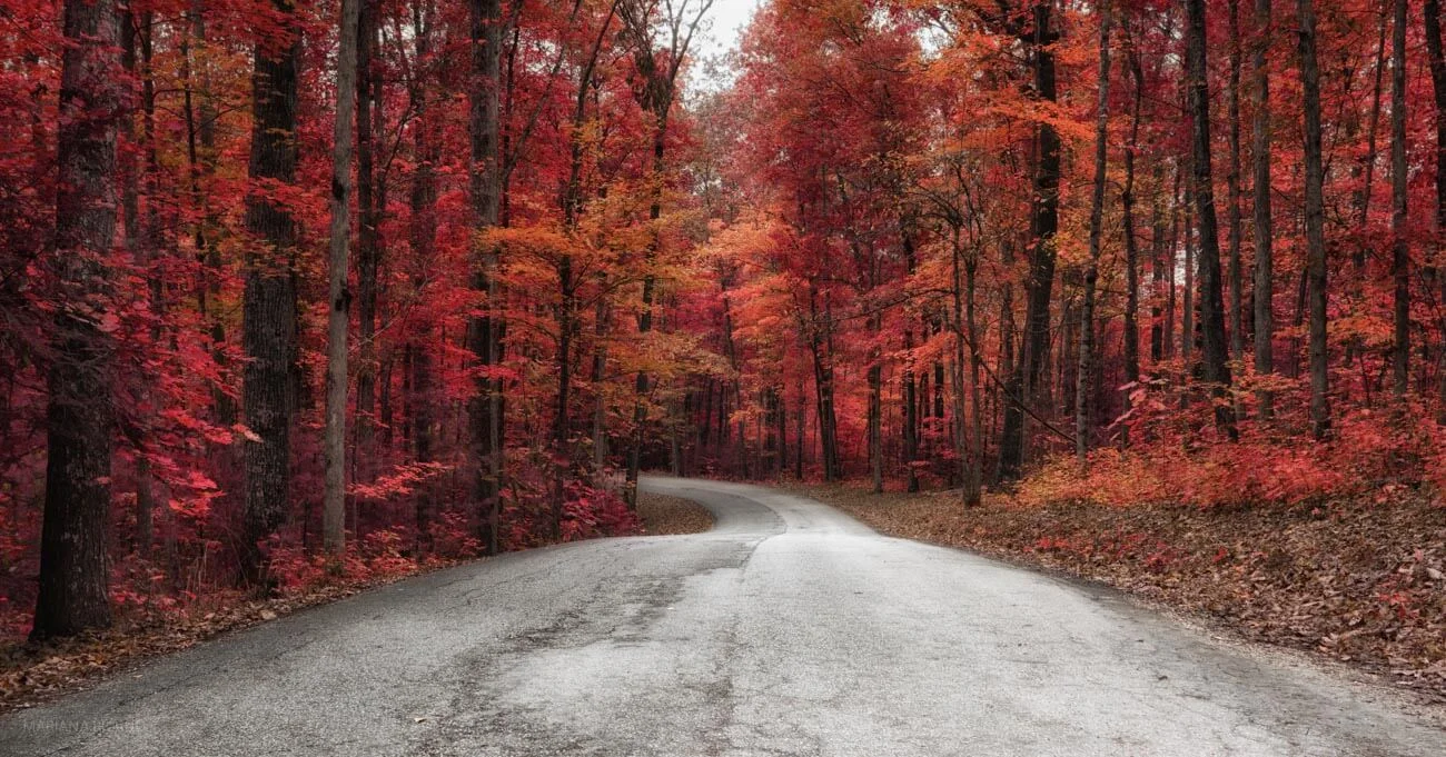 FALL-1.jpg