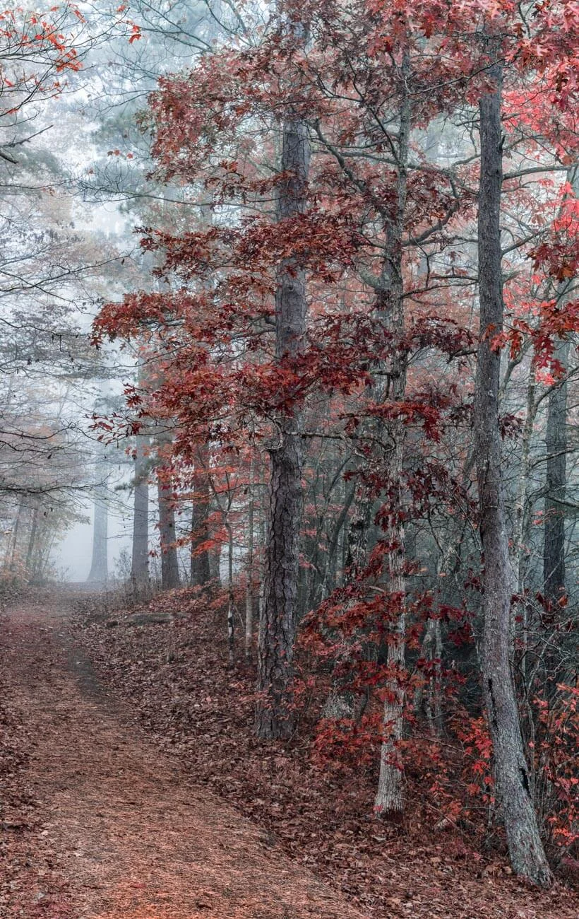 FALL-2.jpg