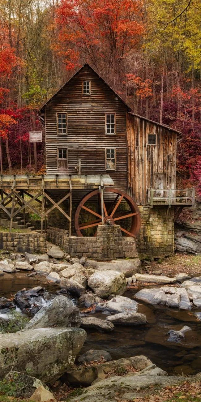 FALL-4.jpg