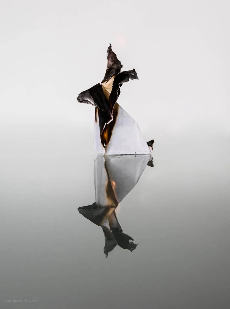 ORIGAMI-1.jpg