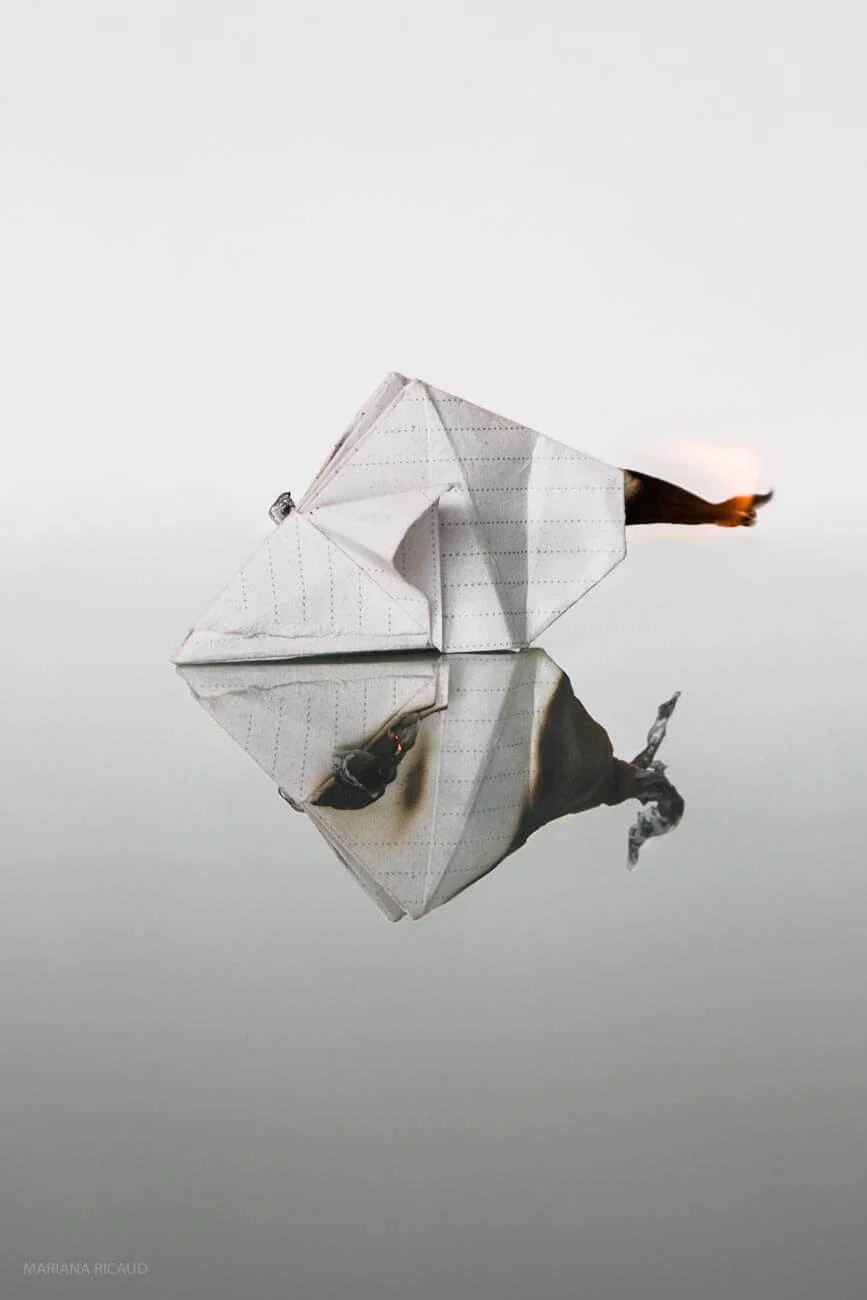 ORIGAMI-2.jpg