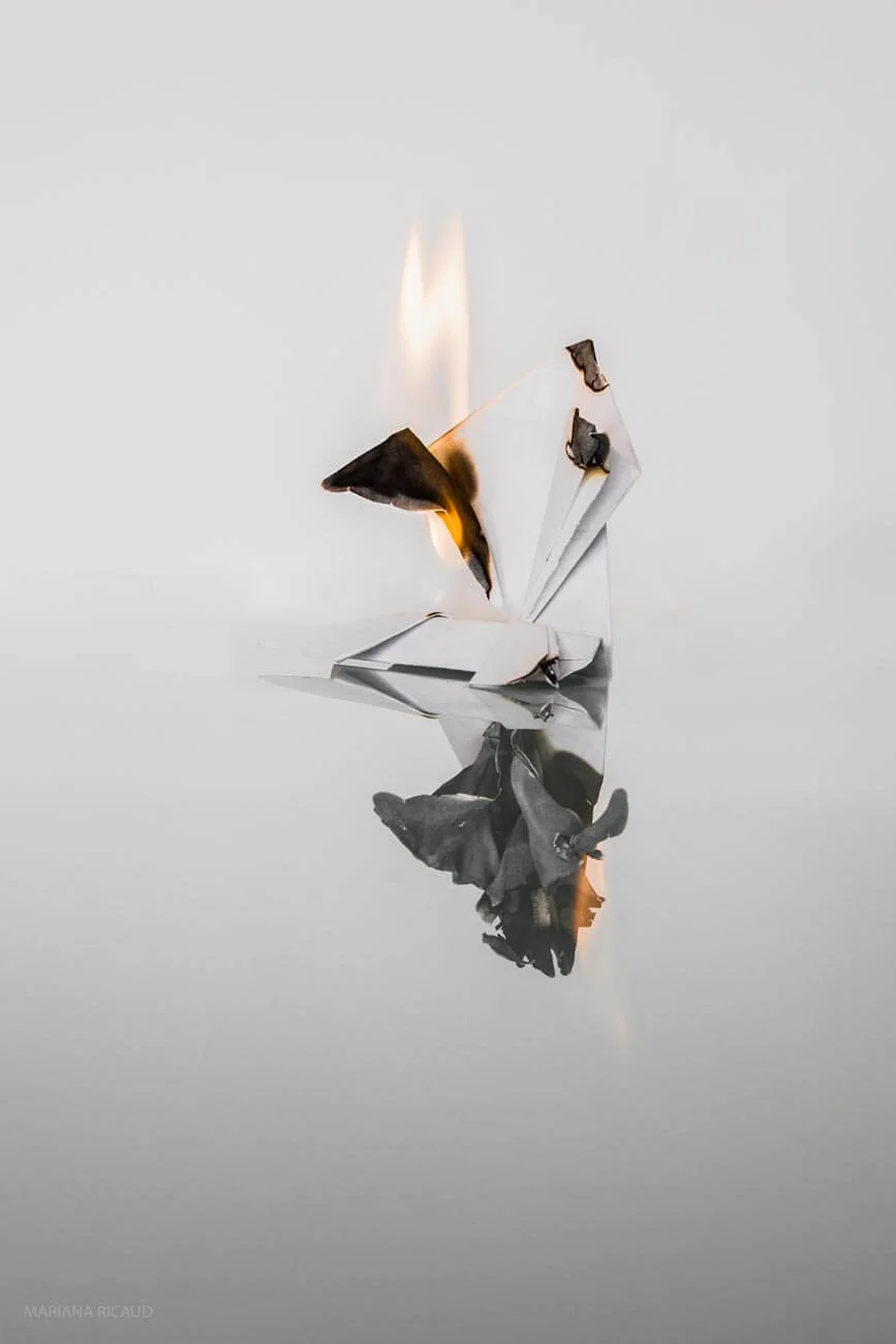 ORIGAMI-3.jpg