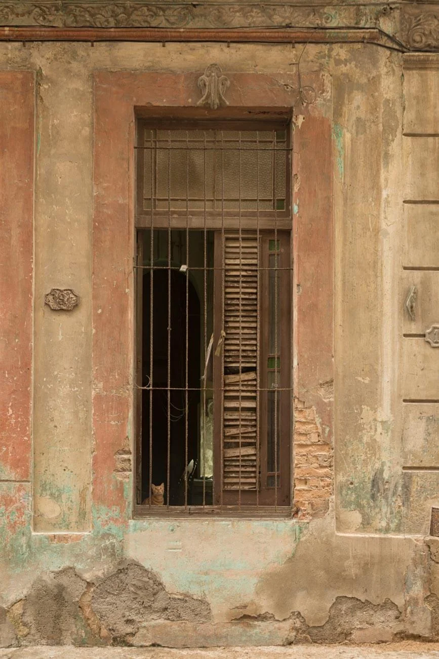 PUERTASJPG-72.jpg