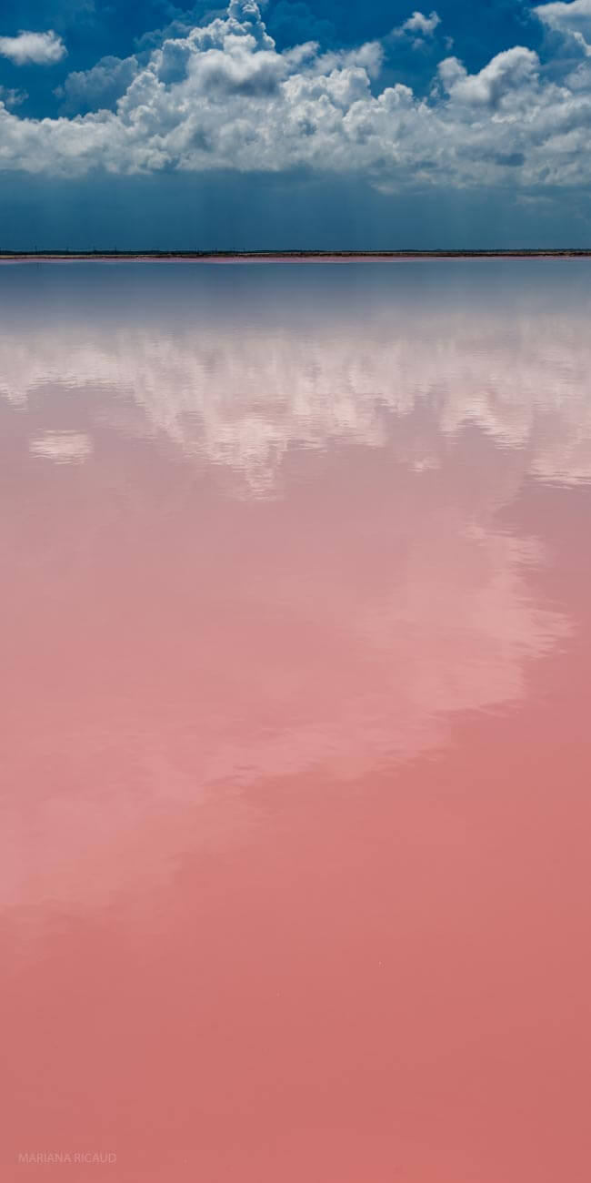 MEXSUR-13.jpg