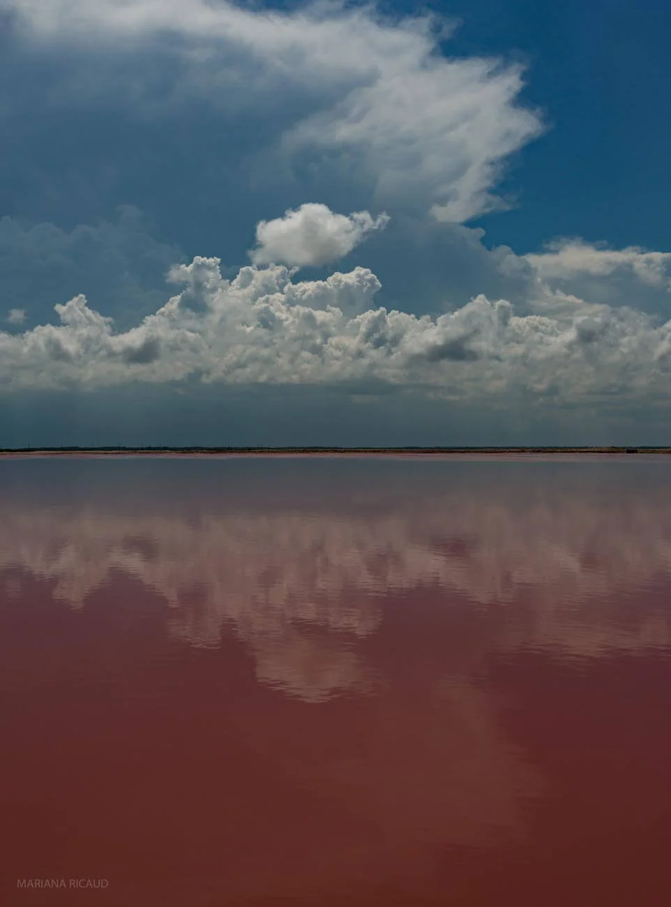 MEXSUR-16.jpg