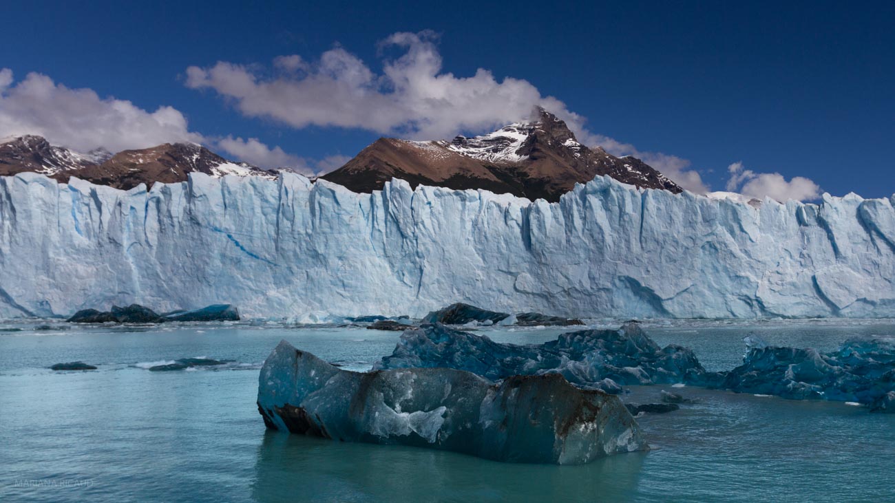 CALAFATE-3.jpg