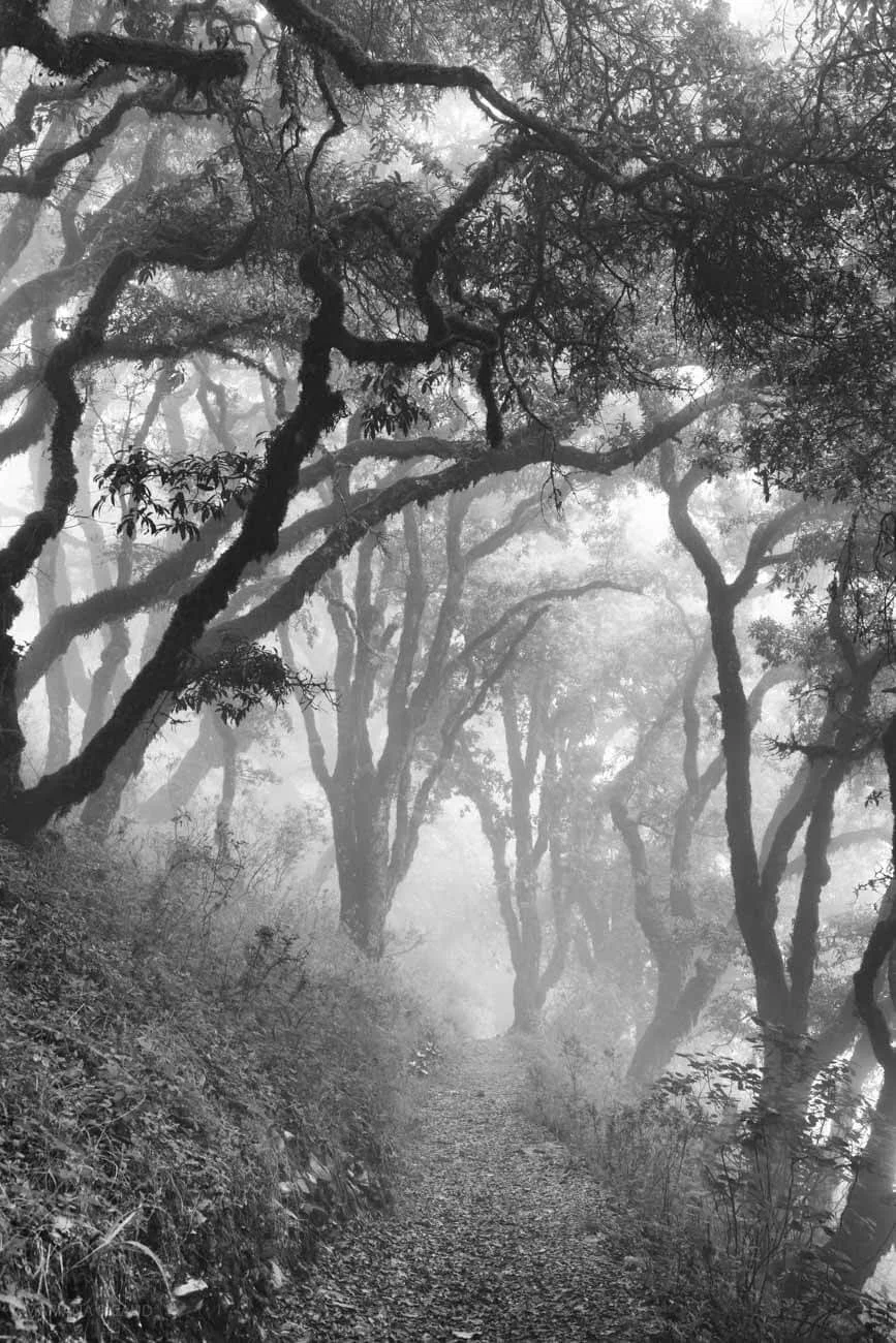 mexcentroneblina-2 (1).jpg