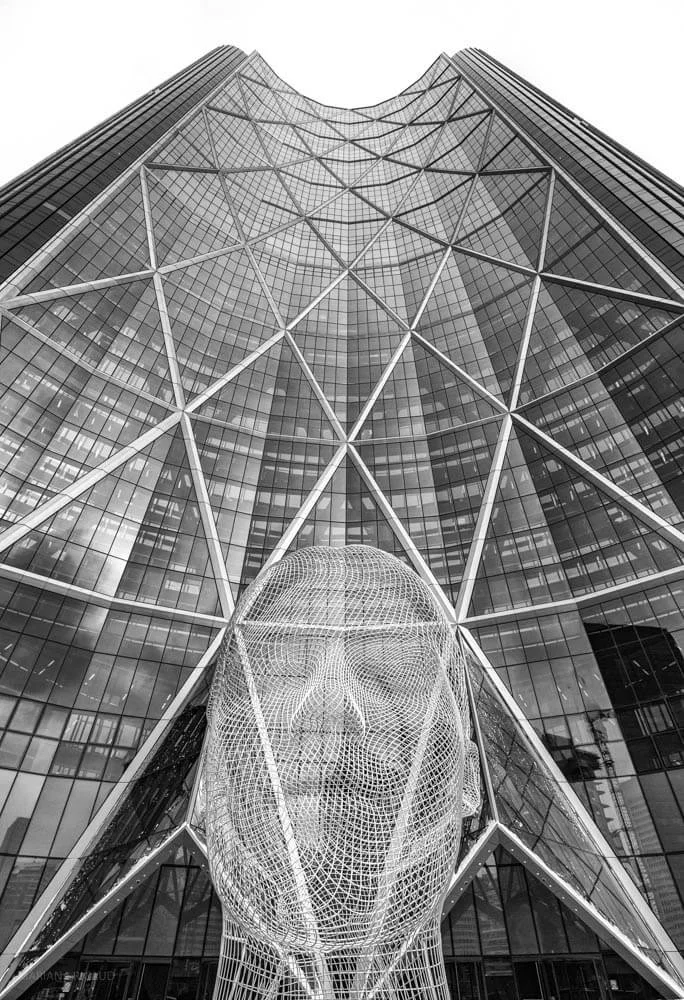 CALGARYciudad-2.jpg