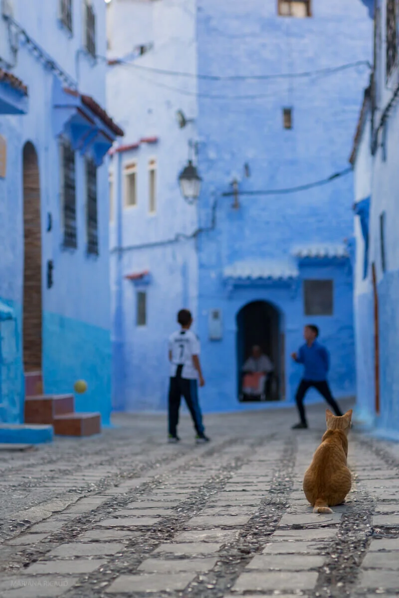 Chefchaouen-20.jpg
