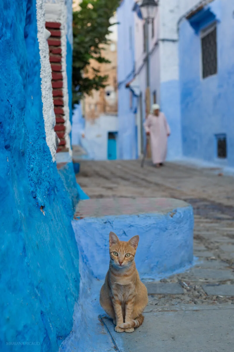 Chefchaouen-22.jpg