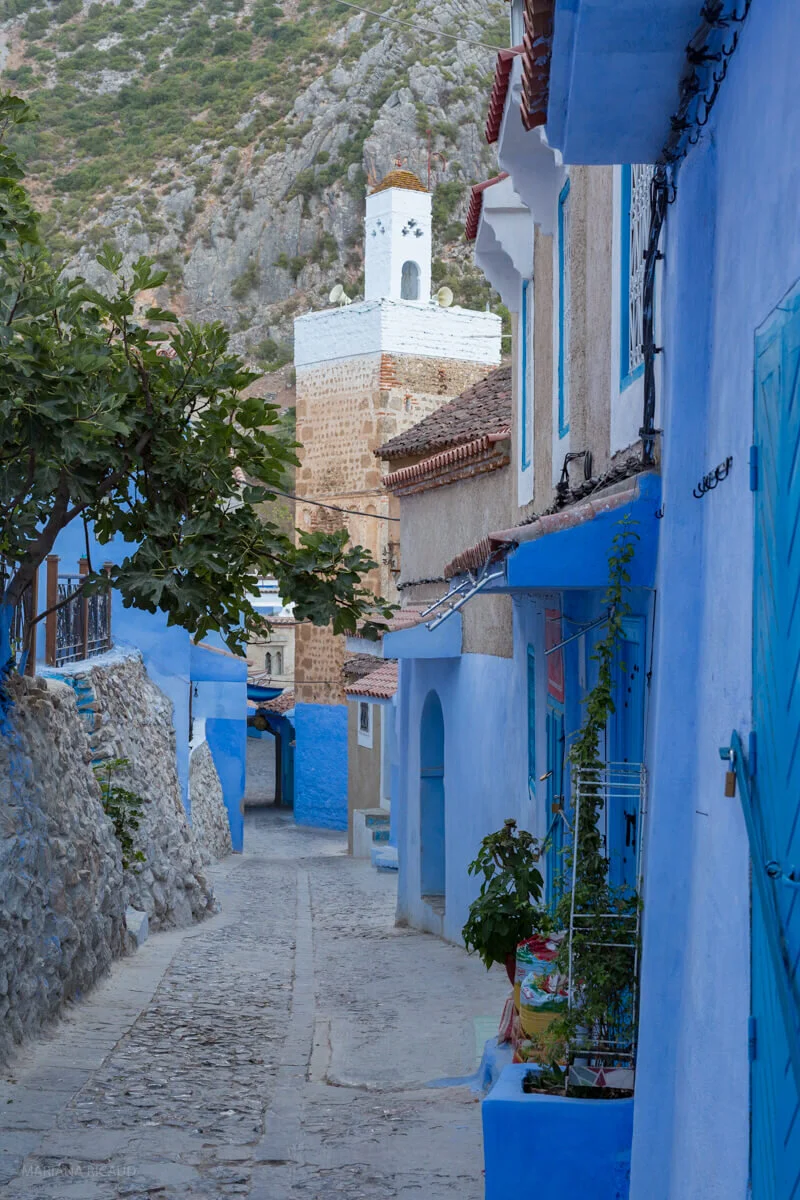 Chefchaouen-29.jpg
