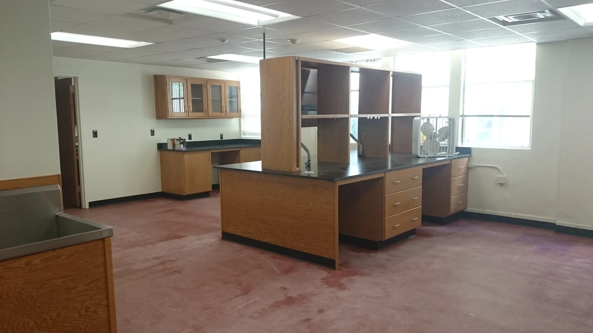 We have a lab!!