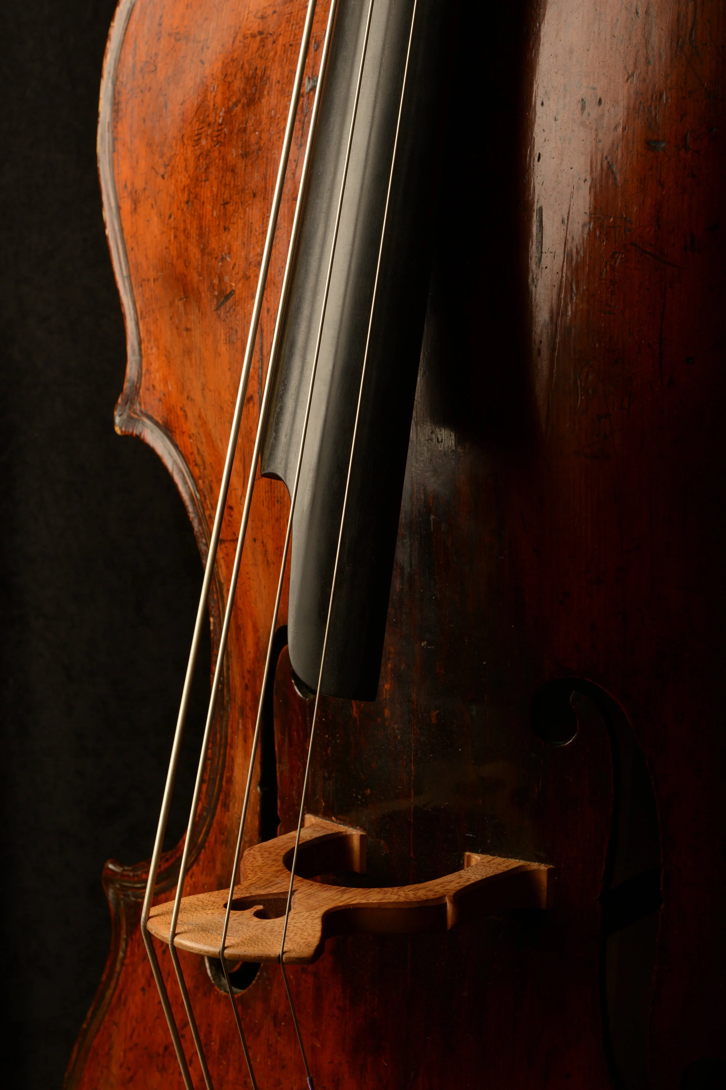 upright bass wallpaper