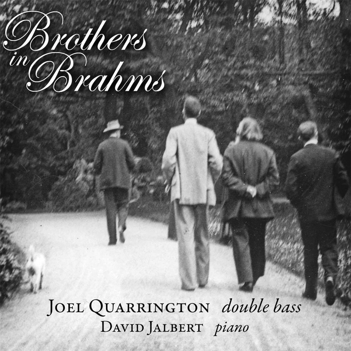 Brothers in Brahms cover.jpg
