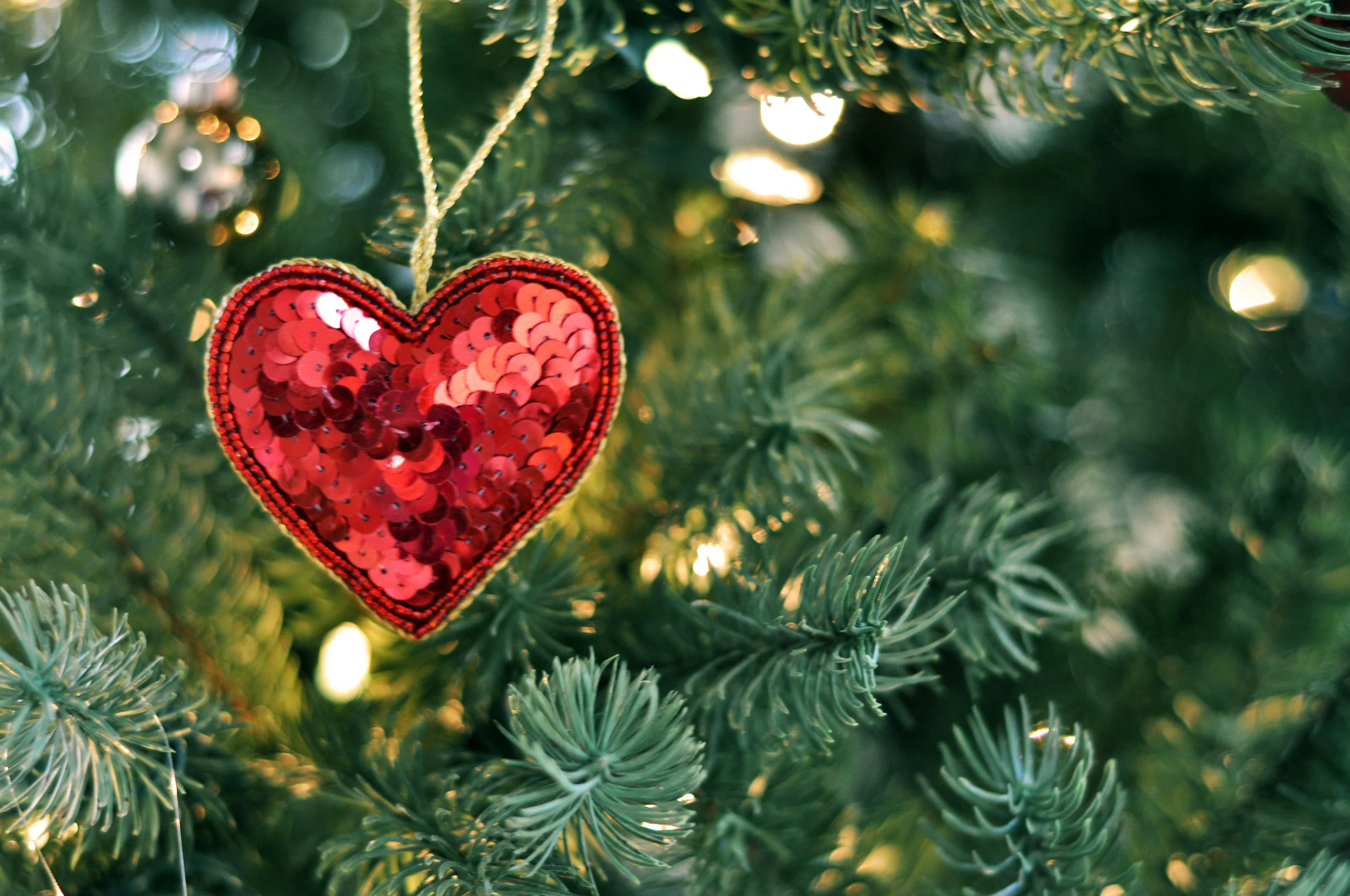 Heart Of Living Yoga Derbyshire Christmas Party