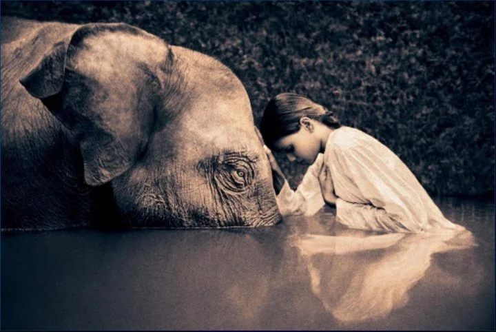 Listening to the Heart