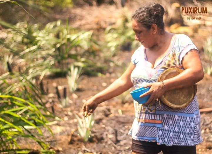Charity Update: Indigenous Brasil