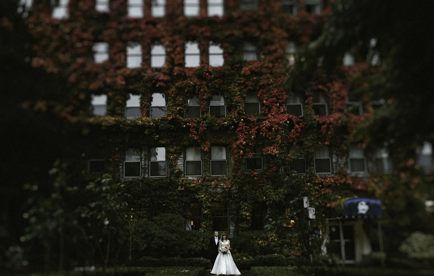 Jayme Lang - Vancouver Wedding Photographer - Ivy.jpg