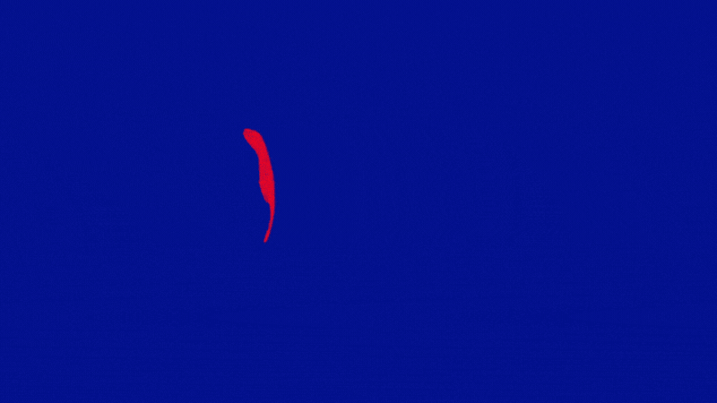 Birds.gif