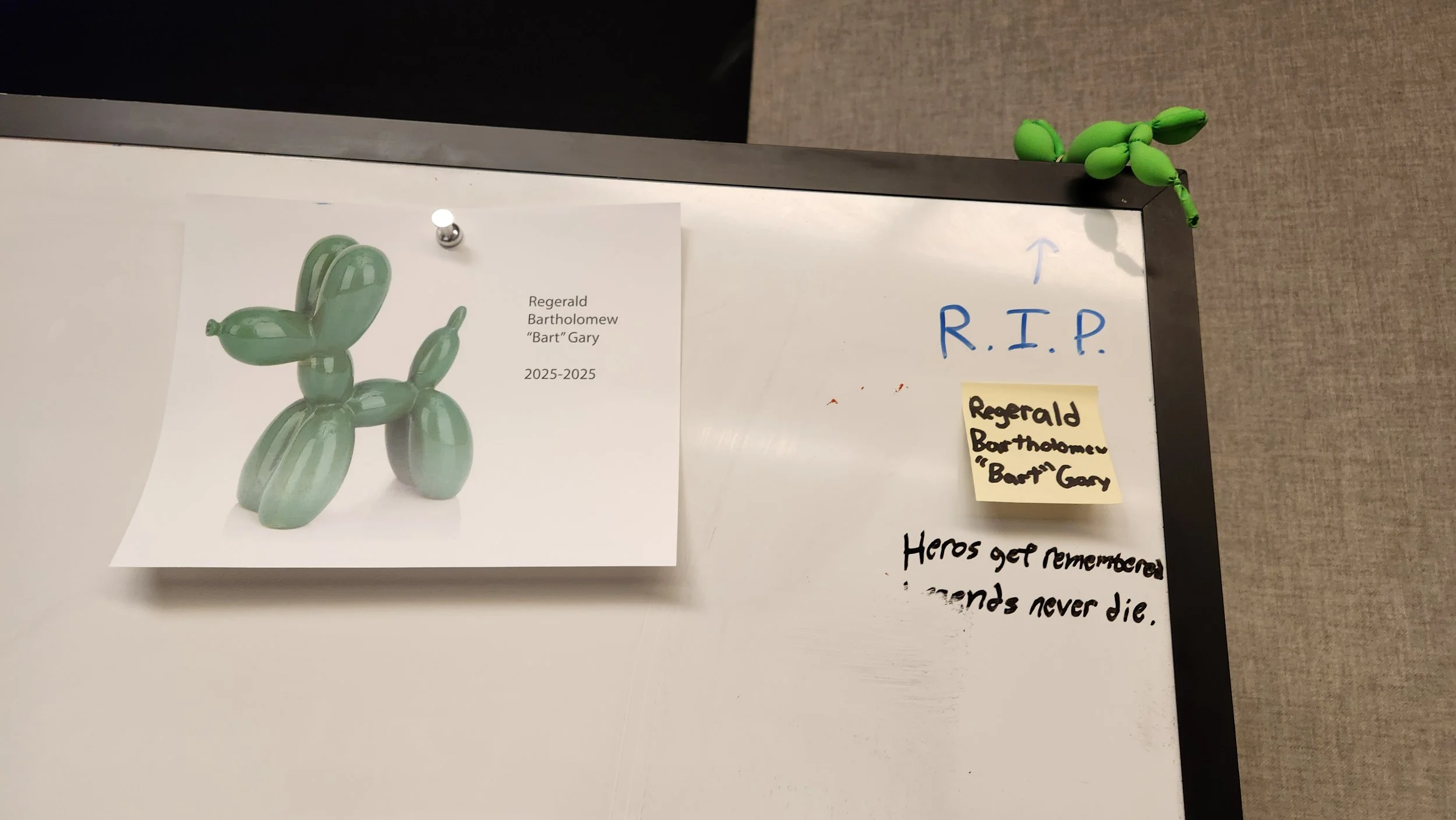 20250313_150235.jpg