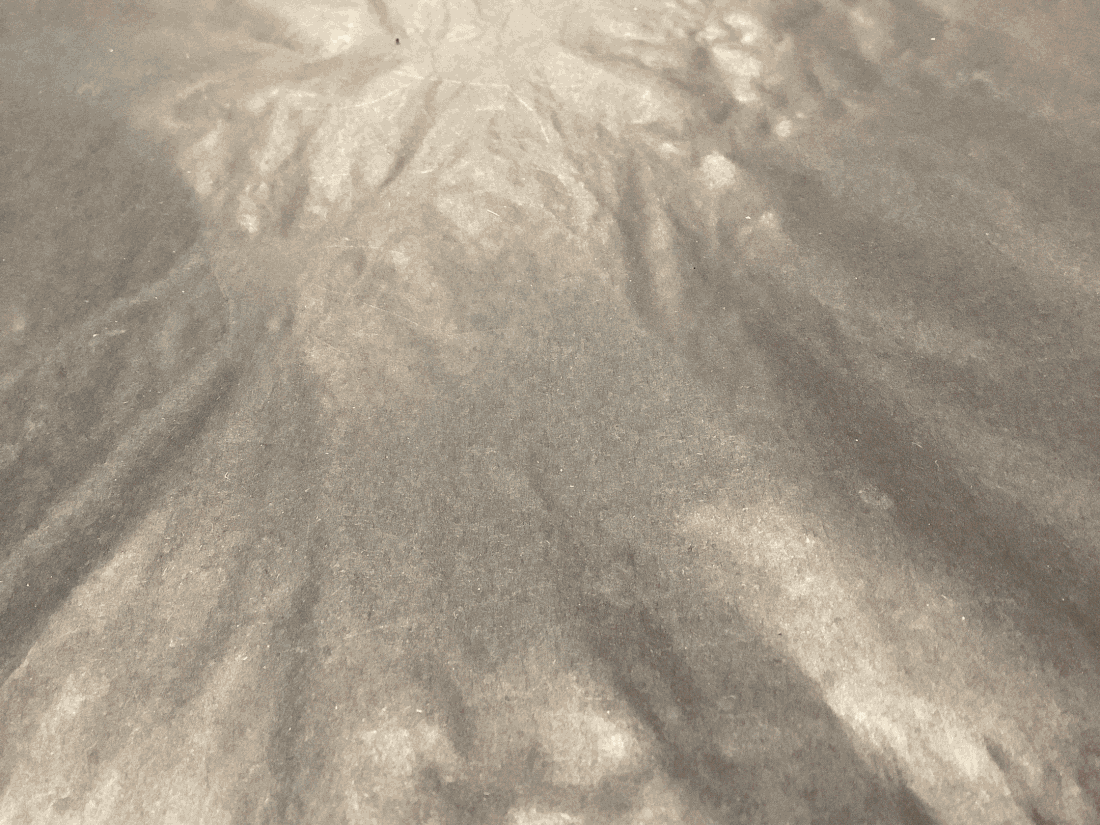 IMG_0277-ezgif.com-resize.gif