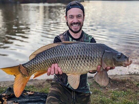 Craig @therealbanterama having fun with some beautiful fall carp!  Thank you for sharing!

www.carpbaitusa.com #carpbaitusa #carp #carpfishing #carpfishingusa #teamcarpbaitusa #catchandrelease #catchphotorelease  #boilies #boiliefishing  #carpcrossin
