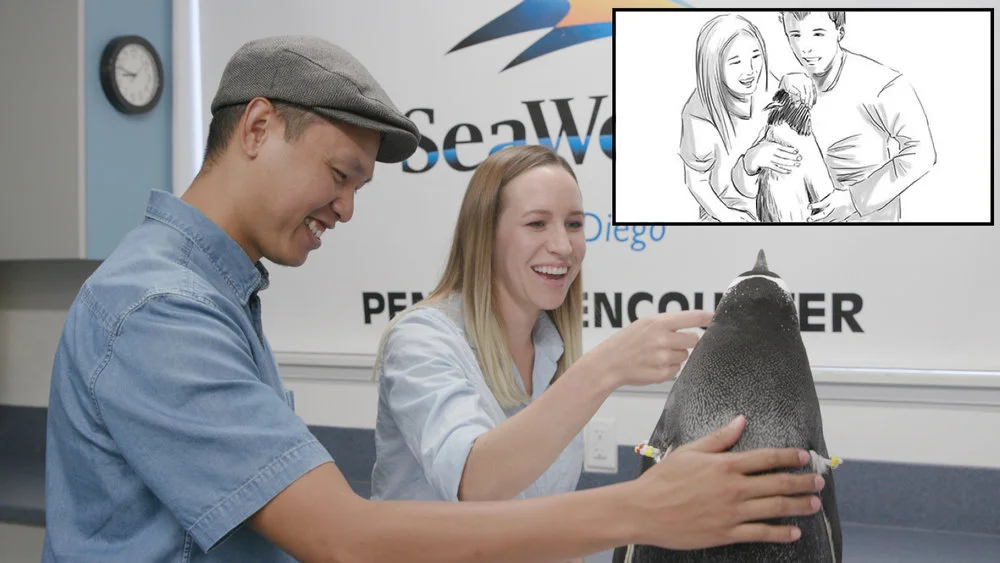 This image shows a side-by-side comparison from a recent SeaWorld shoot and the storyboard that was created to visualize the shots ahead of time.