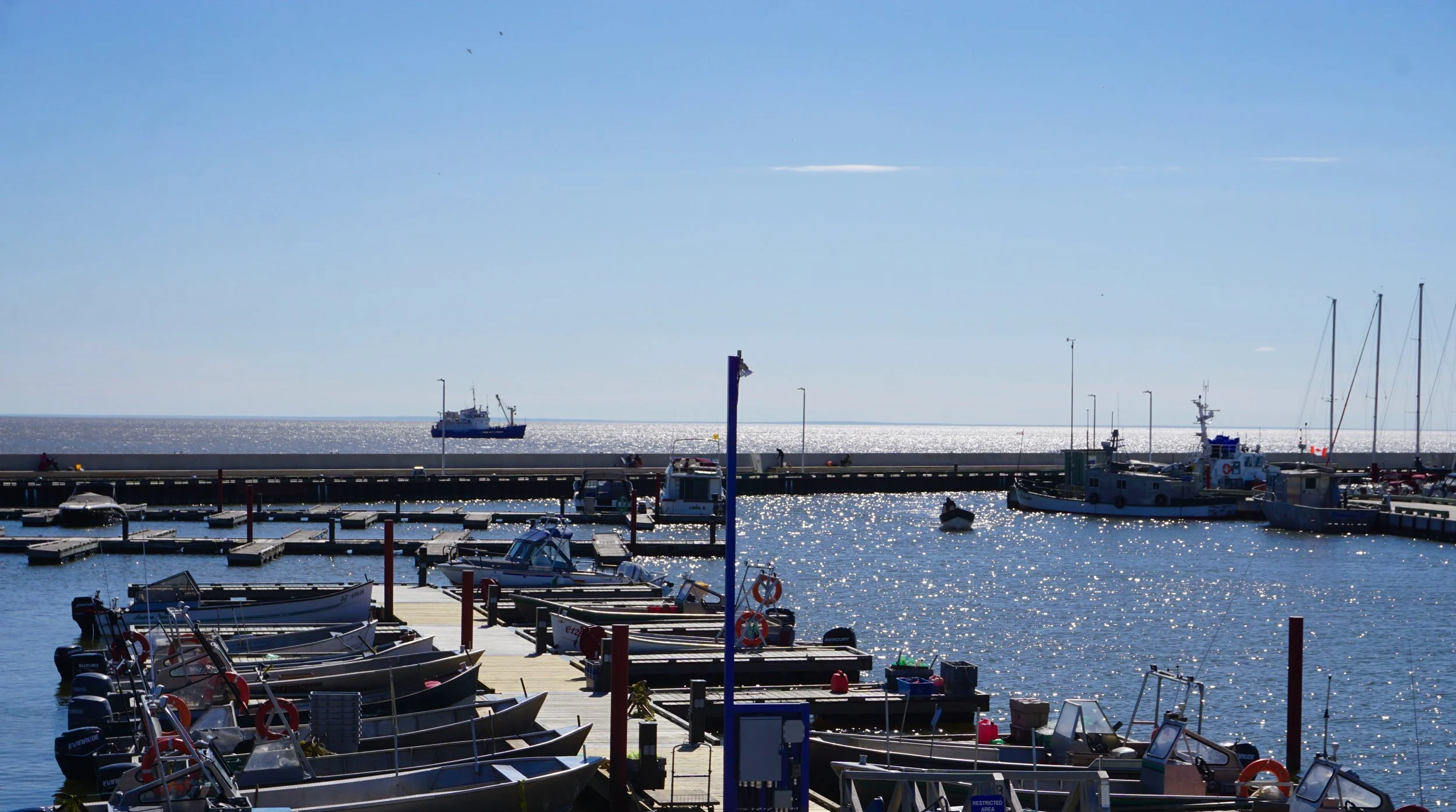 POSSIBLE HOMEPAGE 2.jpg