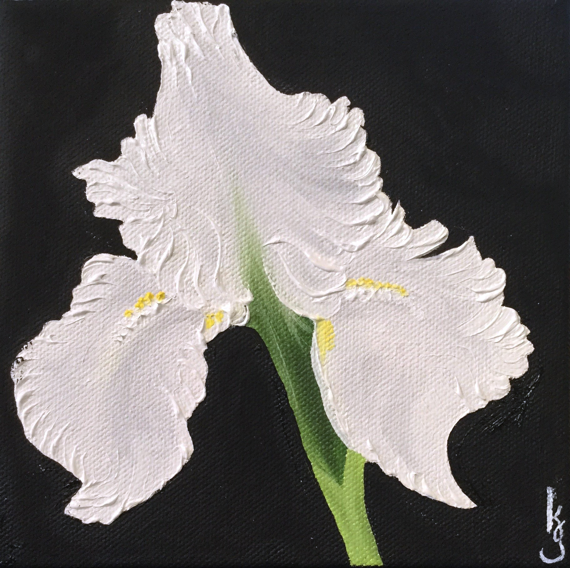 White Iris , 2017 665121752517 Oil on canvas 6 x 6 x 1.5 inches