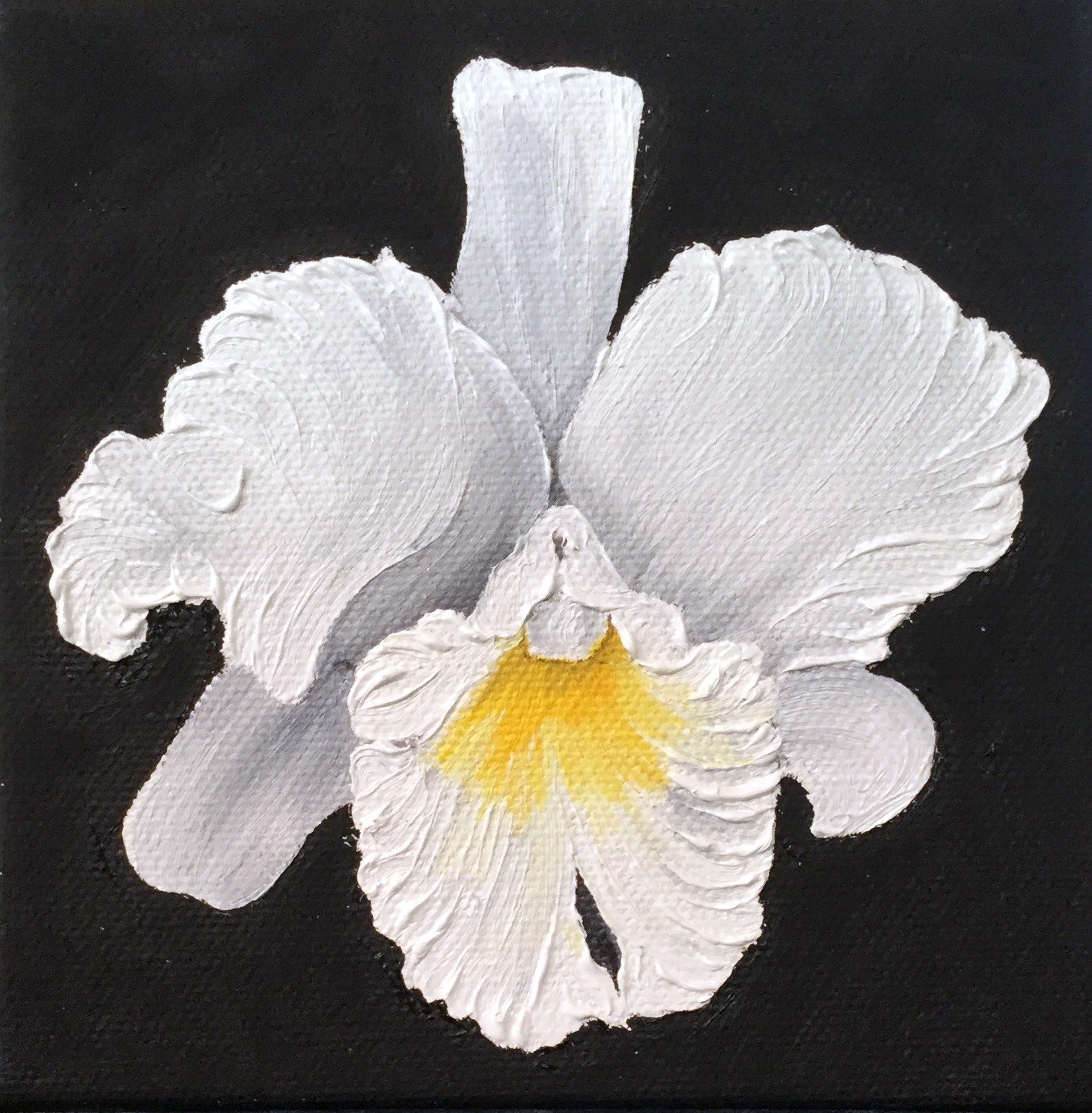 White Cattleya Orchid , 2017 55211177917 Oil on canvas 5 x 5 x 1.5 inches