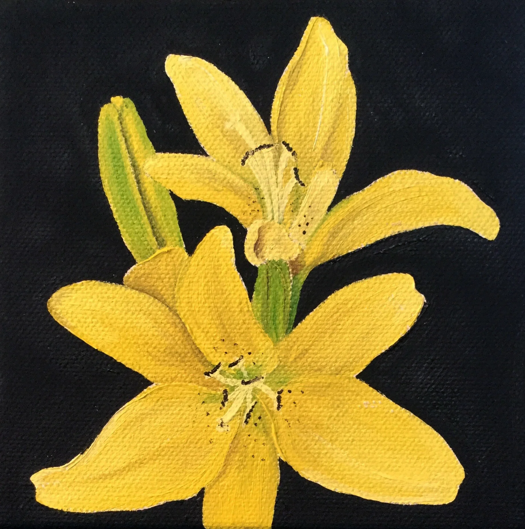 Yellow Lilly , 2017 556211771817 Oil on canvas 5 x 5 x 1.5 inches