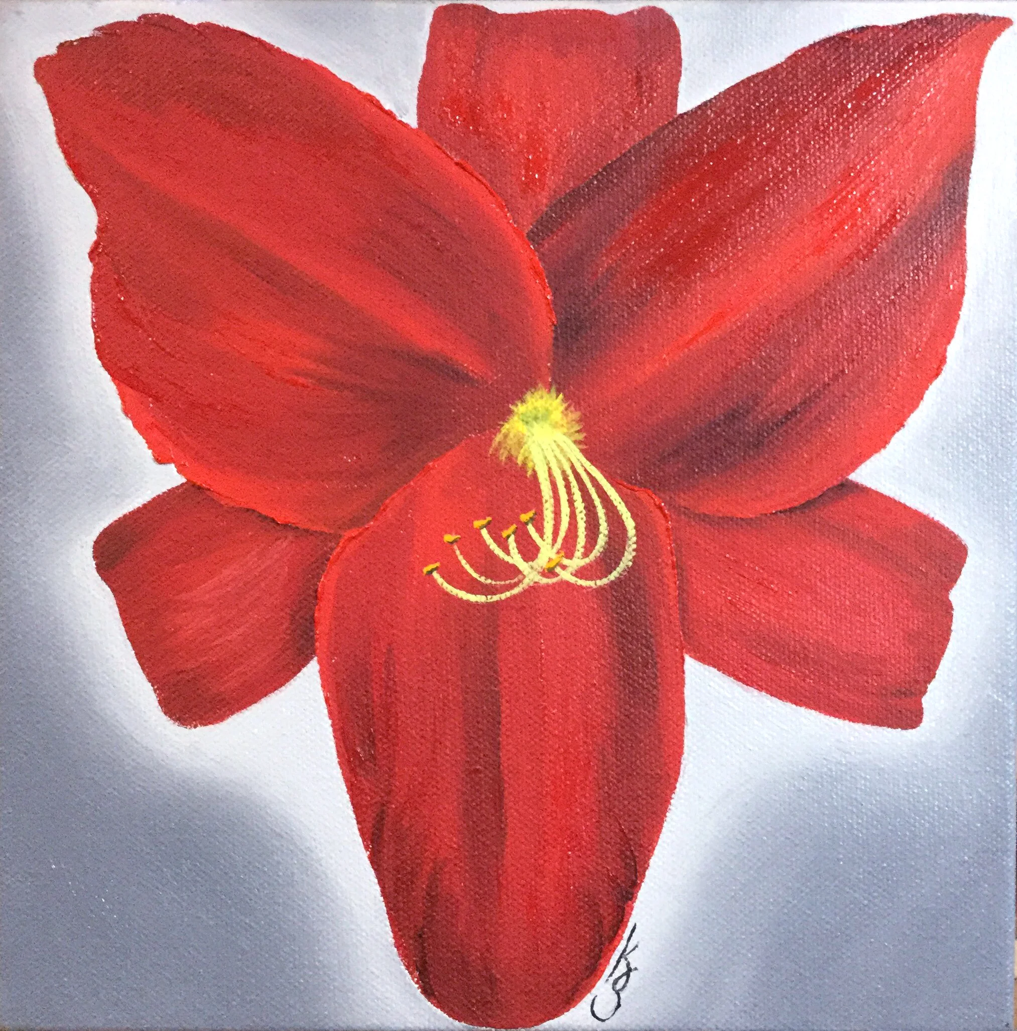 Red Daylily 2018 Oil on canvas 8 x 8 inches