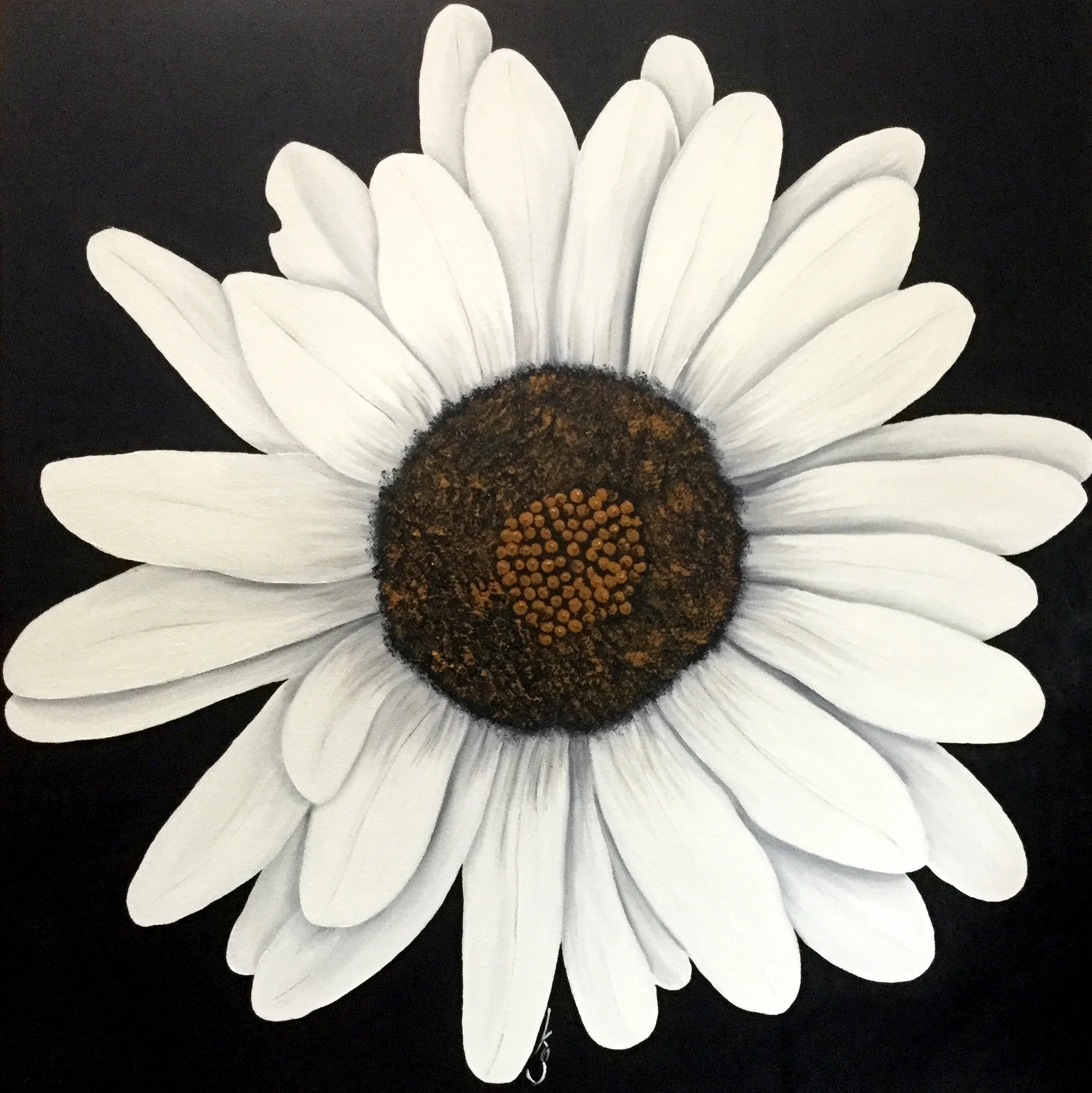 Daisy 2019 Oil on canvas 20 x 20 inches
