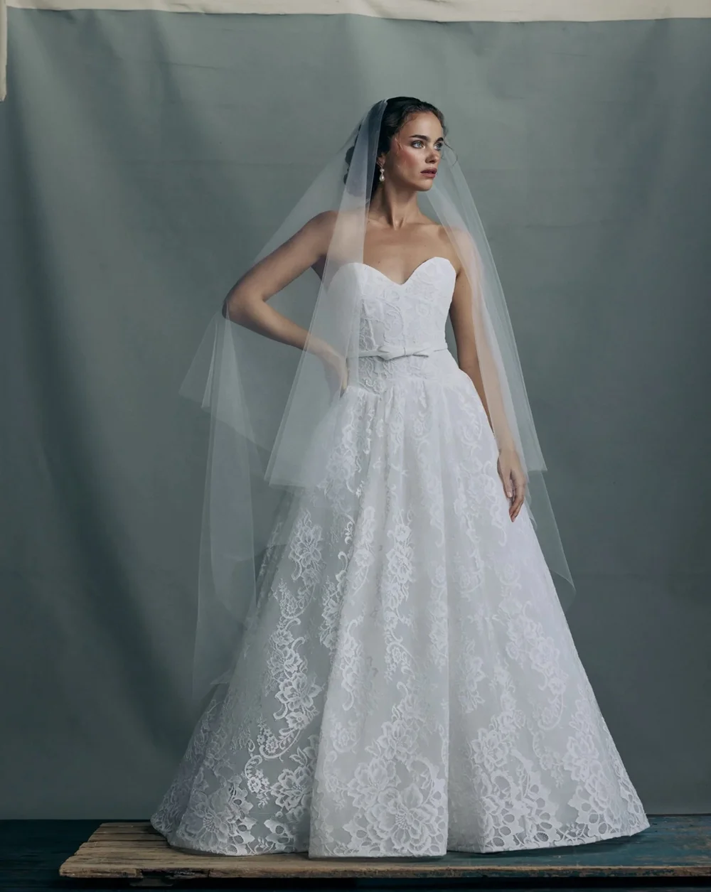 Anne Barge Albertine Chantilly Lace Wedding Gown US 12