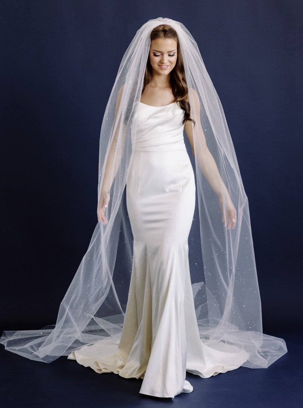 Toni Federici Starry Night.jpg