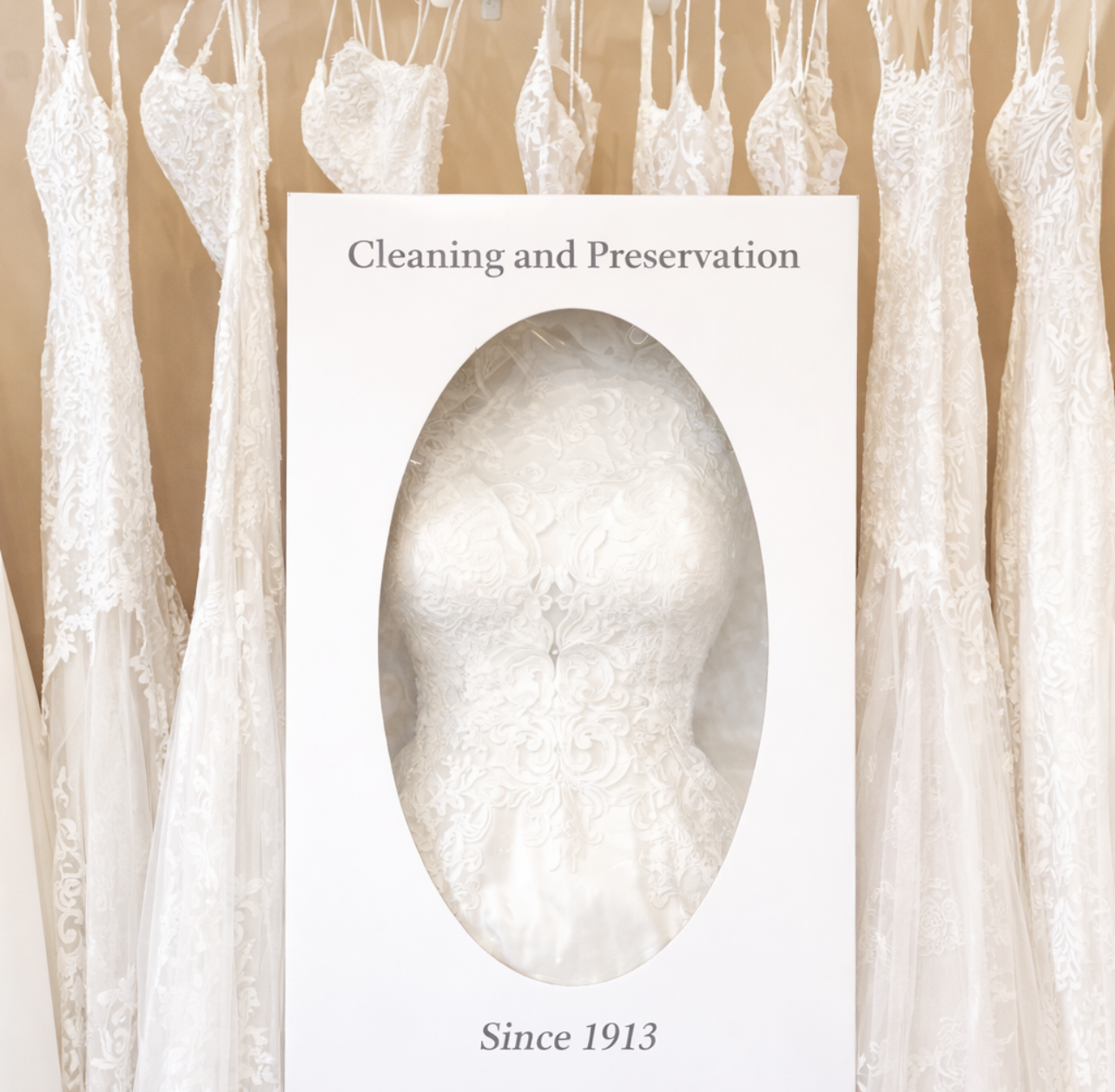 Wedding Gown Cleaning & Preservation