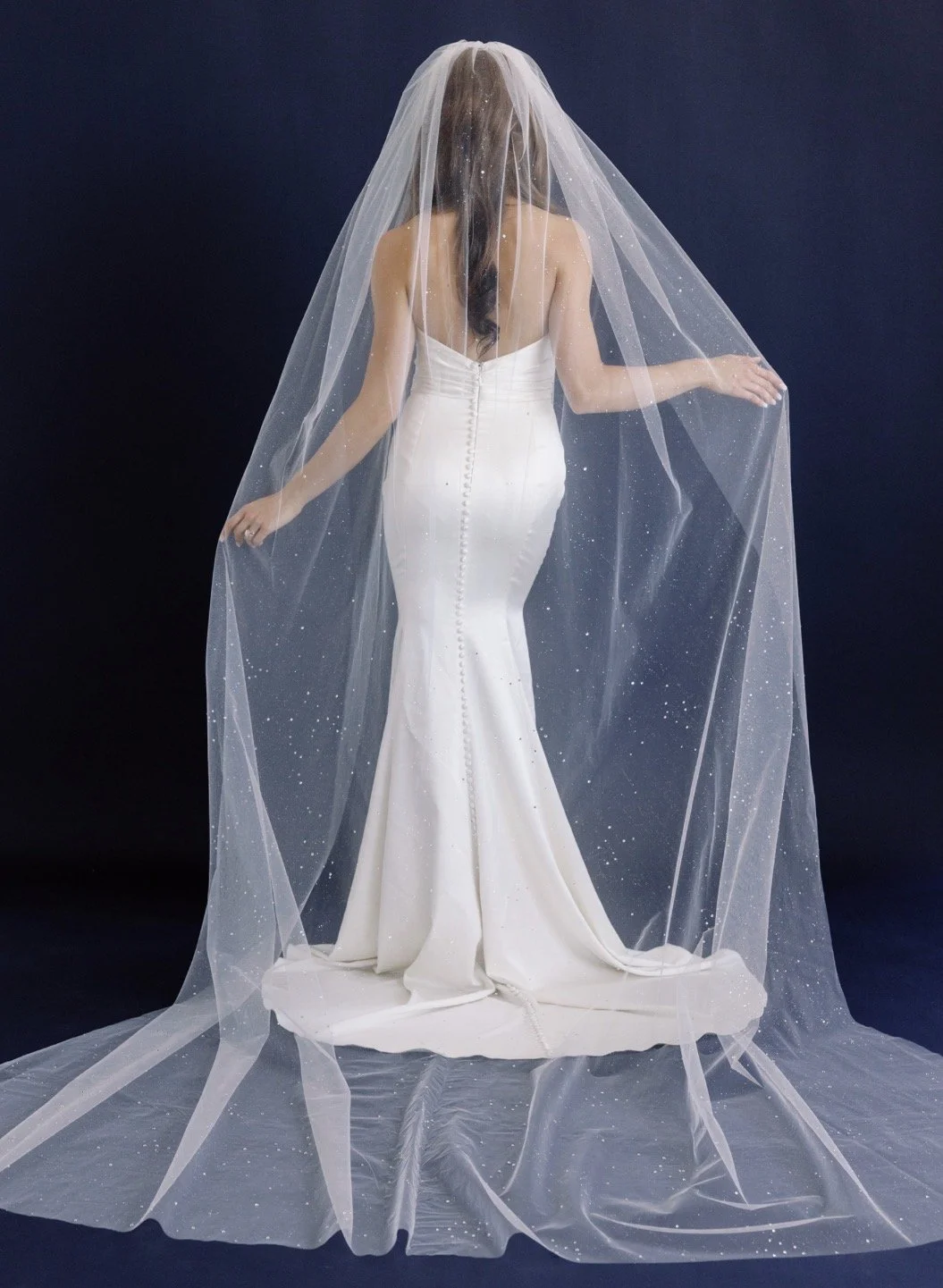 Starry Night Veil.jpg