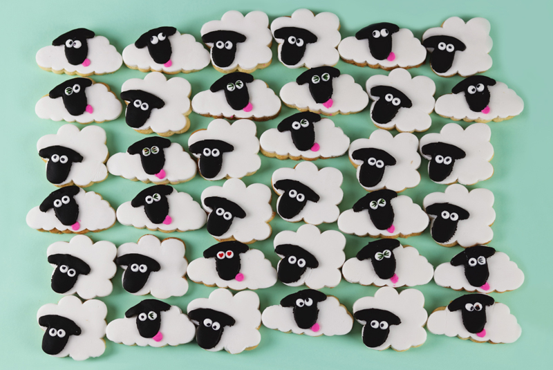 sean-sheep-cookies.jpg