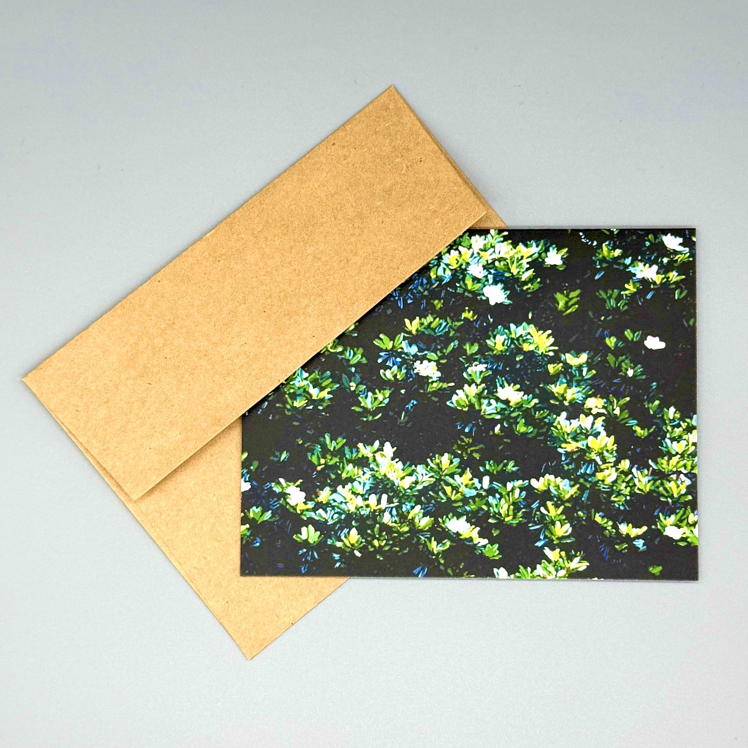 merch-magnolia-notecard-envelope-kraft.jpeg