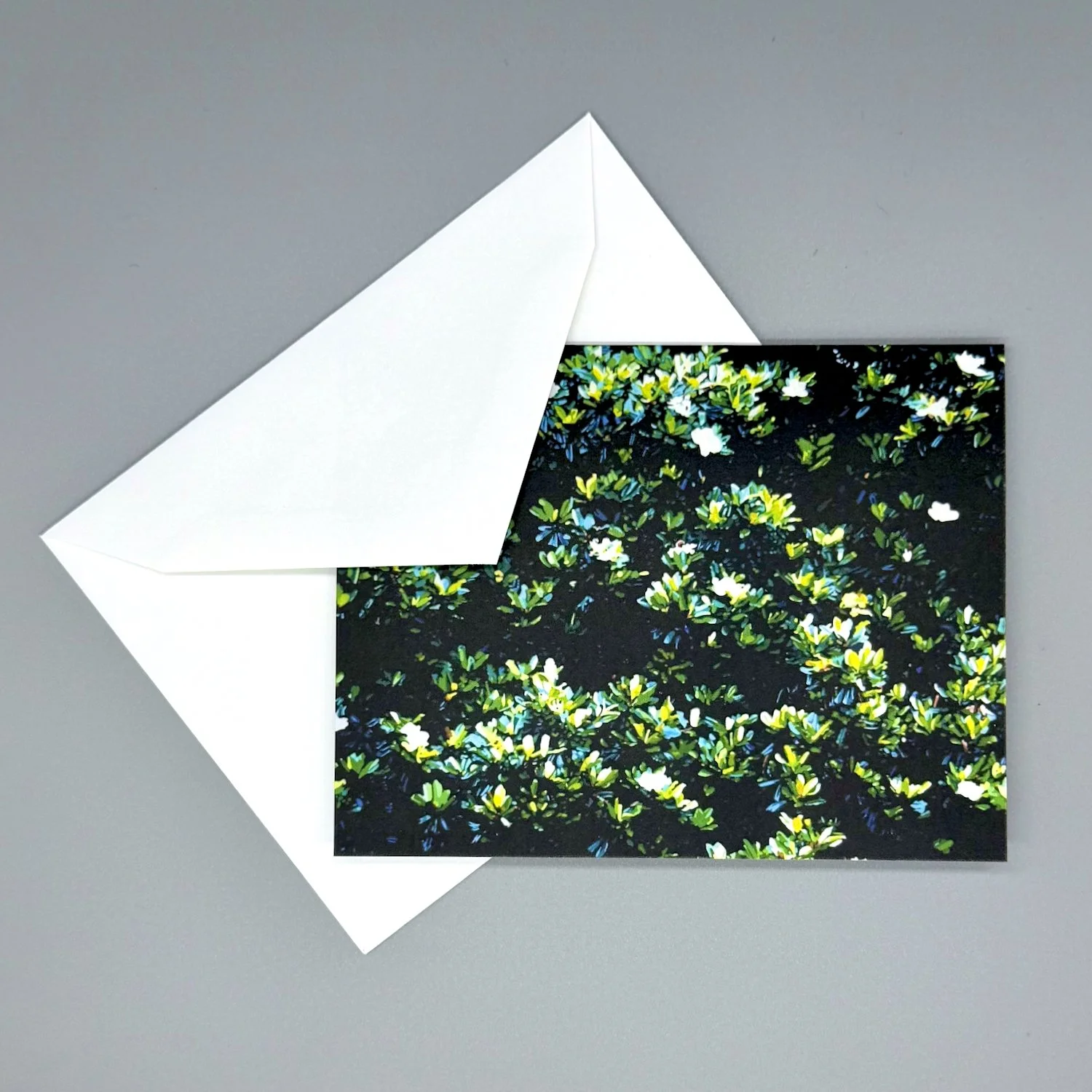merch-magnolia-notecard-envelope.jpeg