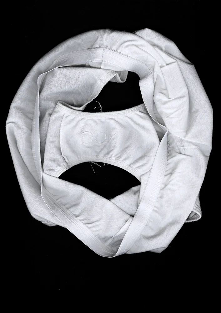   Panty Portrait: Box  12.14 x 17.18 in [30.84 x 43.64 cm] Archival pigment print on museum cotton rag 