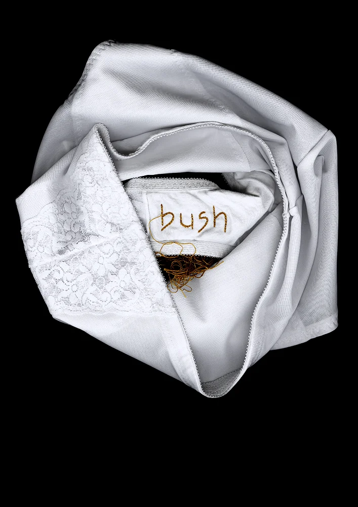   Panty Portrait: Bush  12.14 x 17.18 in [30.84 x 43.64 cm] Archival pigment print on museum cotton rag 