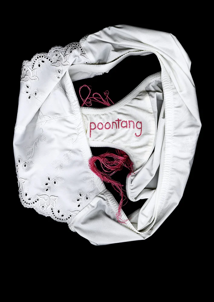   Panty Portrait: Poontang  12.14 x 17.18 in [30.84 x 43.64 cm] Archival pigment print on museum cotton rag 