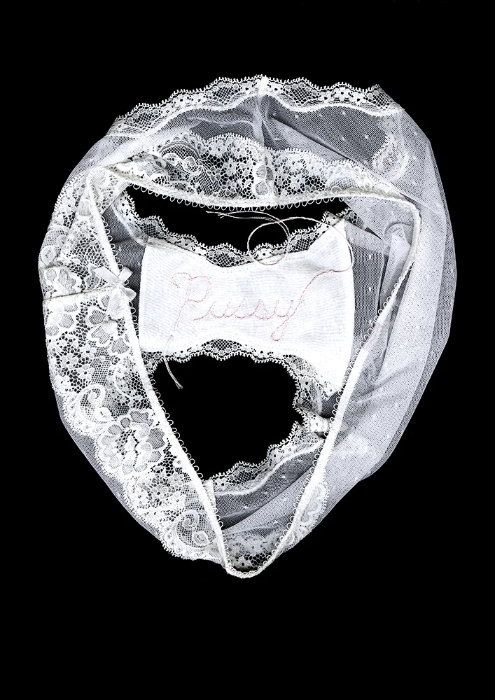   Panty Portrait: Pussy  12.14 x 17.18 in [30.84 x 43.64 cm] Archival pigment print on museum cotton rag 